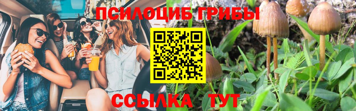 Галлюциногенные грибы мухоморы  Вход с VPN  Долгопрудный 