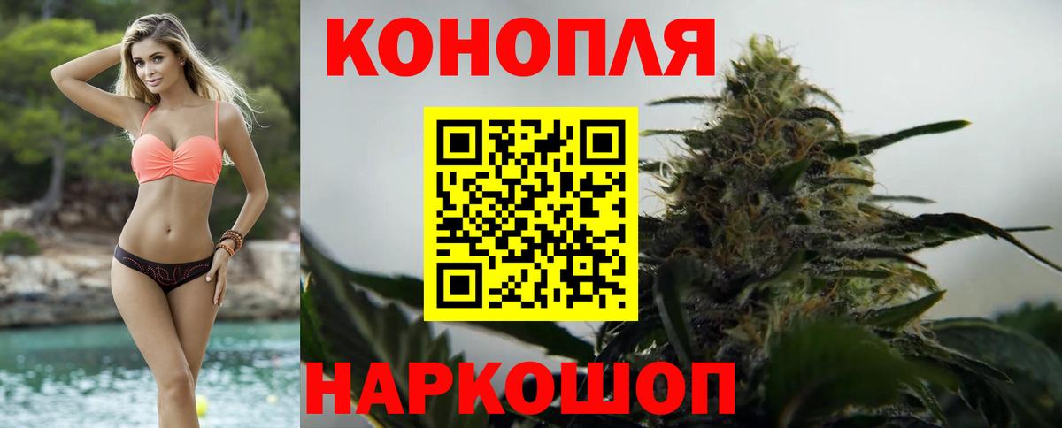 Конопля марихуана Долгопрудный